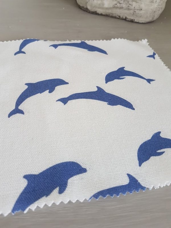 Playful dolphins navy