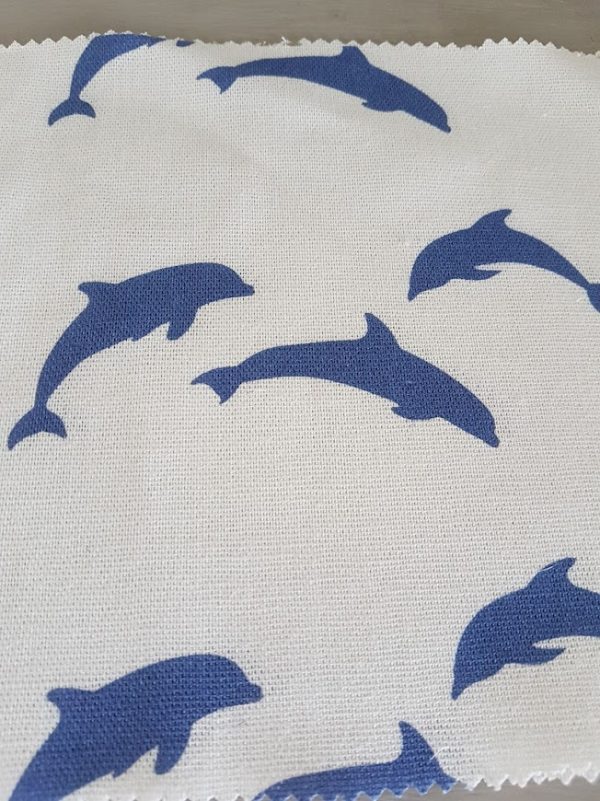 Playful dolphins navy