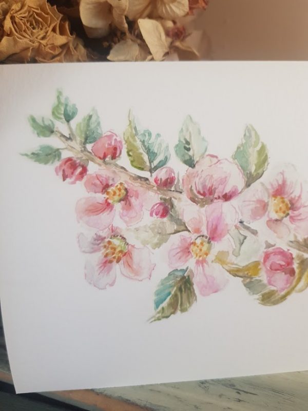 Apple Blossom Limited Edition Watercolour Giclée Print by Rose and Foxgloves - A5 Size