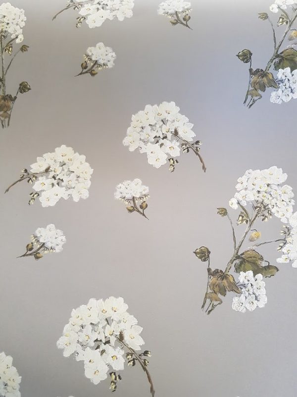 white hydrangeas on dark grey wallpaper