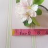 Pink Icing soft apple stripe wallpaper by rose and foxgloves