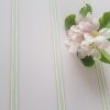 Pink Icing soft apple stripe wallpaper by rose and foxgloves